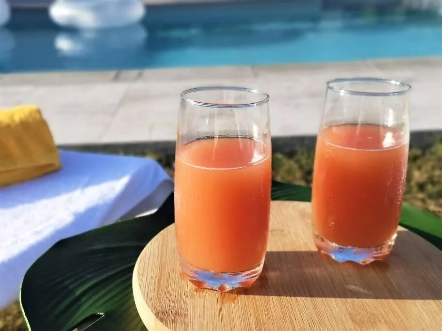 Villa Oneway, Piscine Privee, Classee 3 Etoiles Sainte-Rose