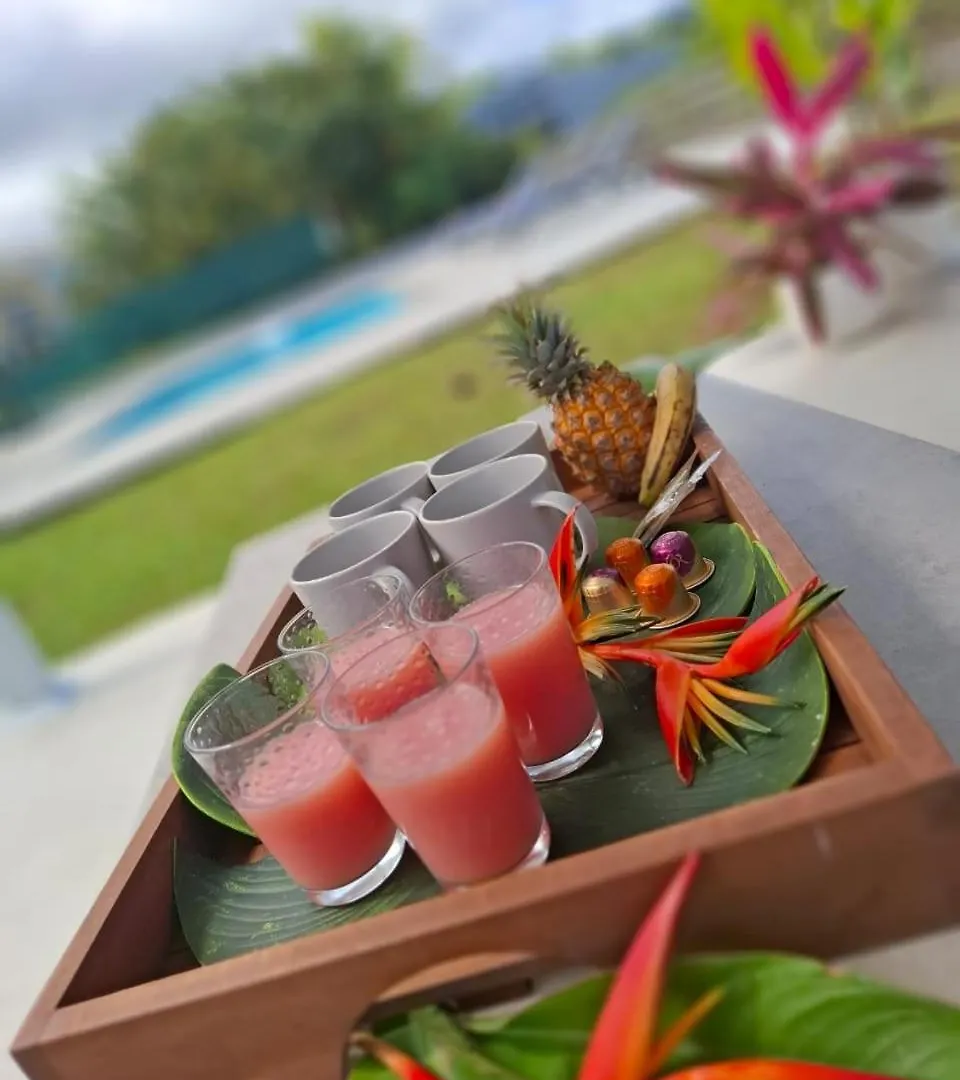Villa Oneway, Piscine Privee, Classee 3 Etoiles Sainte-Rose 0*,